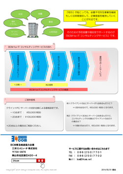 BCM for IT コンサルティングサービス P2